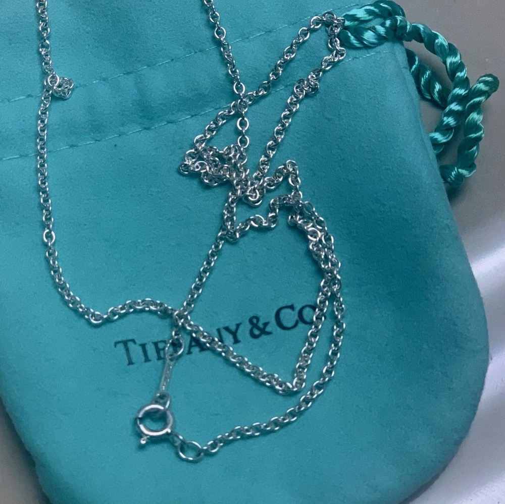 NWOT Tiffany & Co Chain 24"